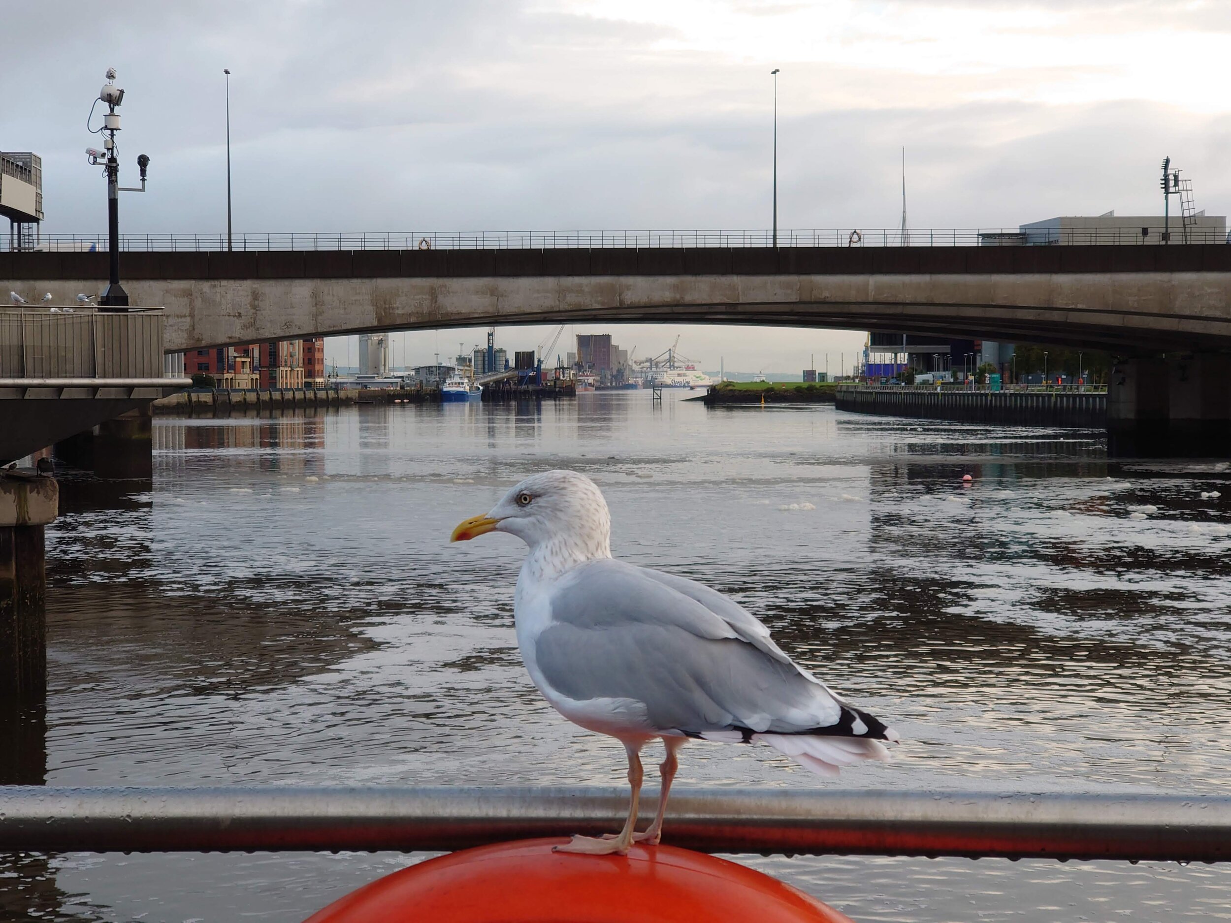 Trip report: Domestic travel hopping during&nbsp;Covid-19