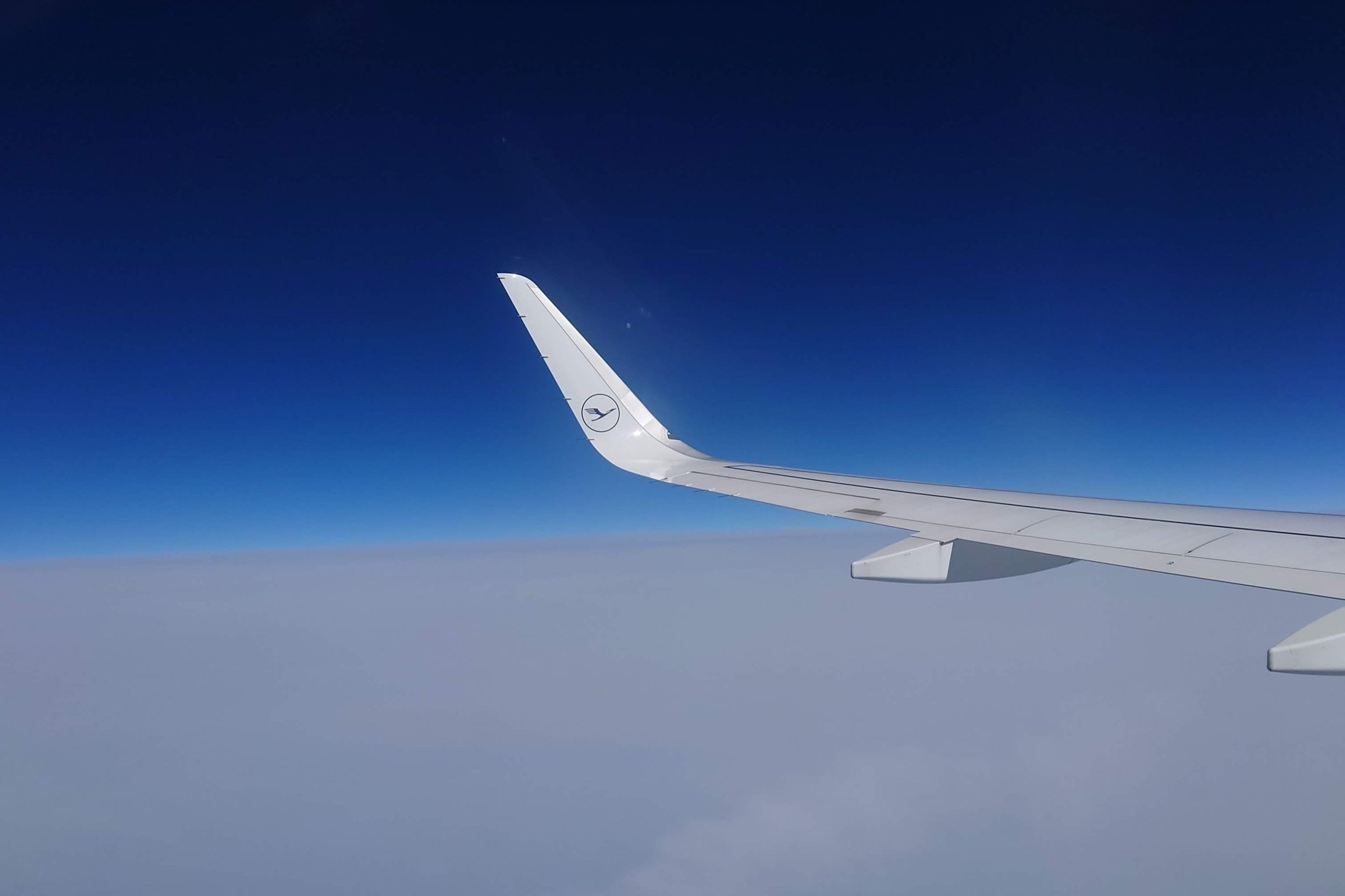 How is Lufthansa European Economy Class during&nbsp;Covid?