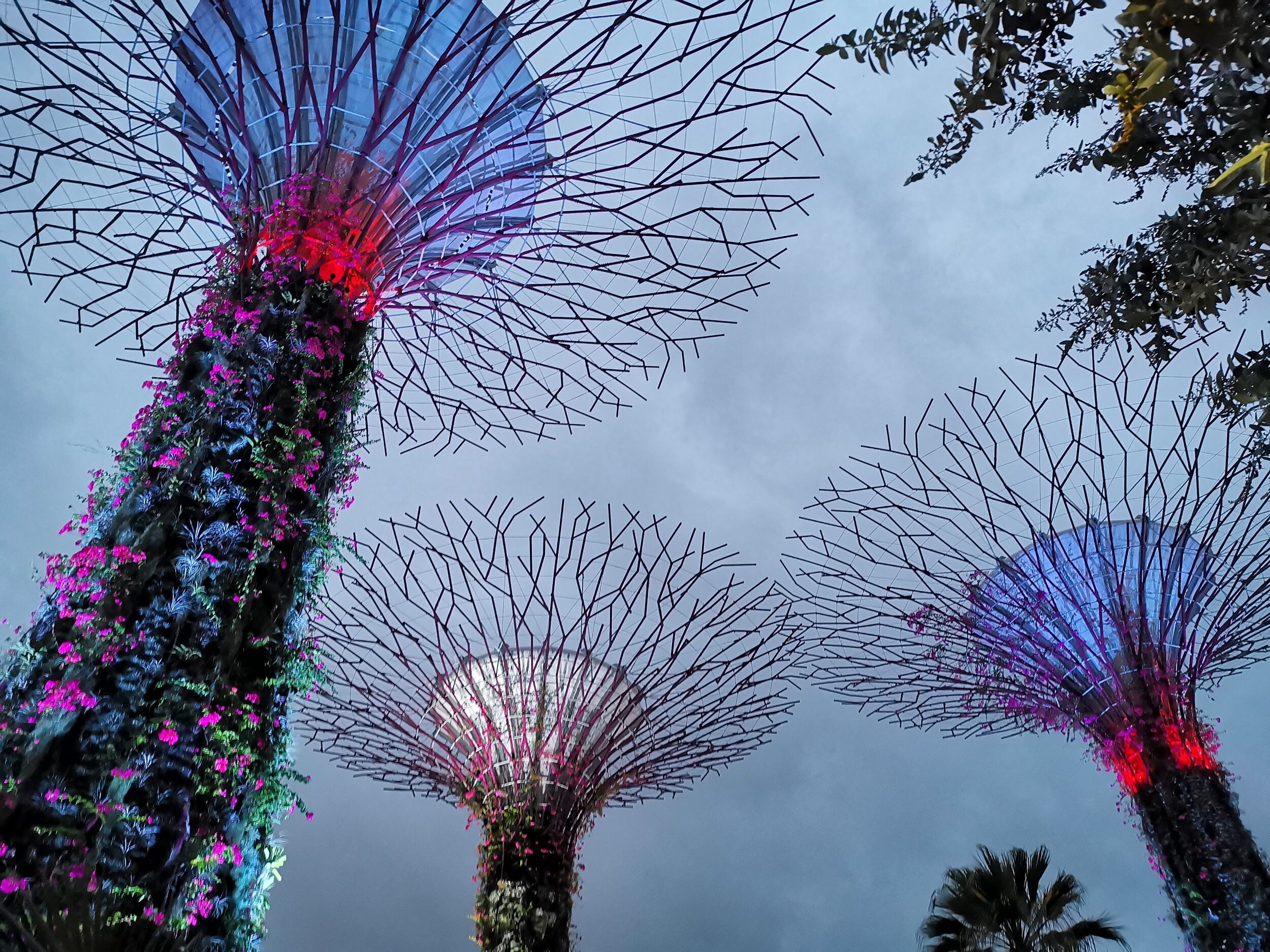 Singapore could be a step closer…kinda…