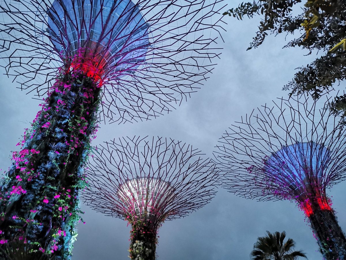 Singapore could be a step closer…kinda…
